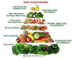 cooked-foods-on-a-raw-diet-by-kevin-angileri