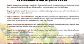 why-organic-by-kevin-angileri